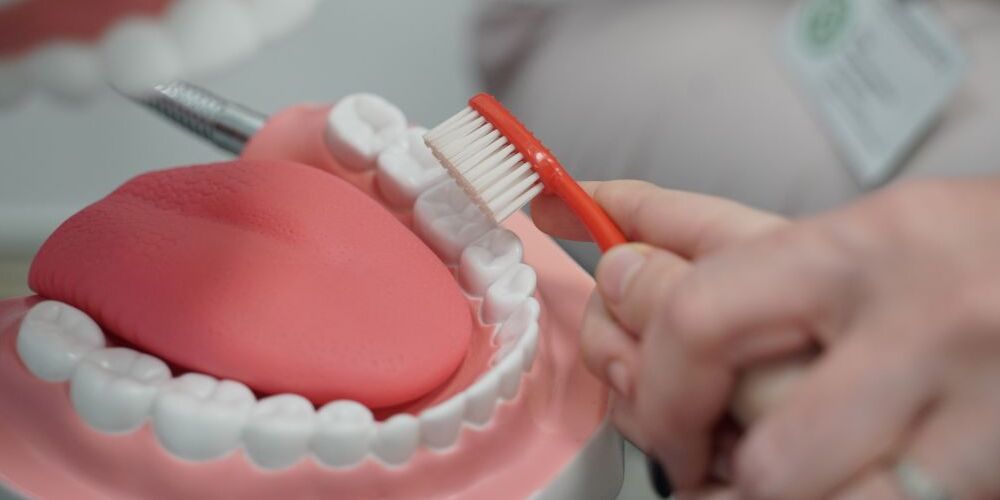 Диктант здоровья 2026